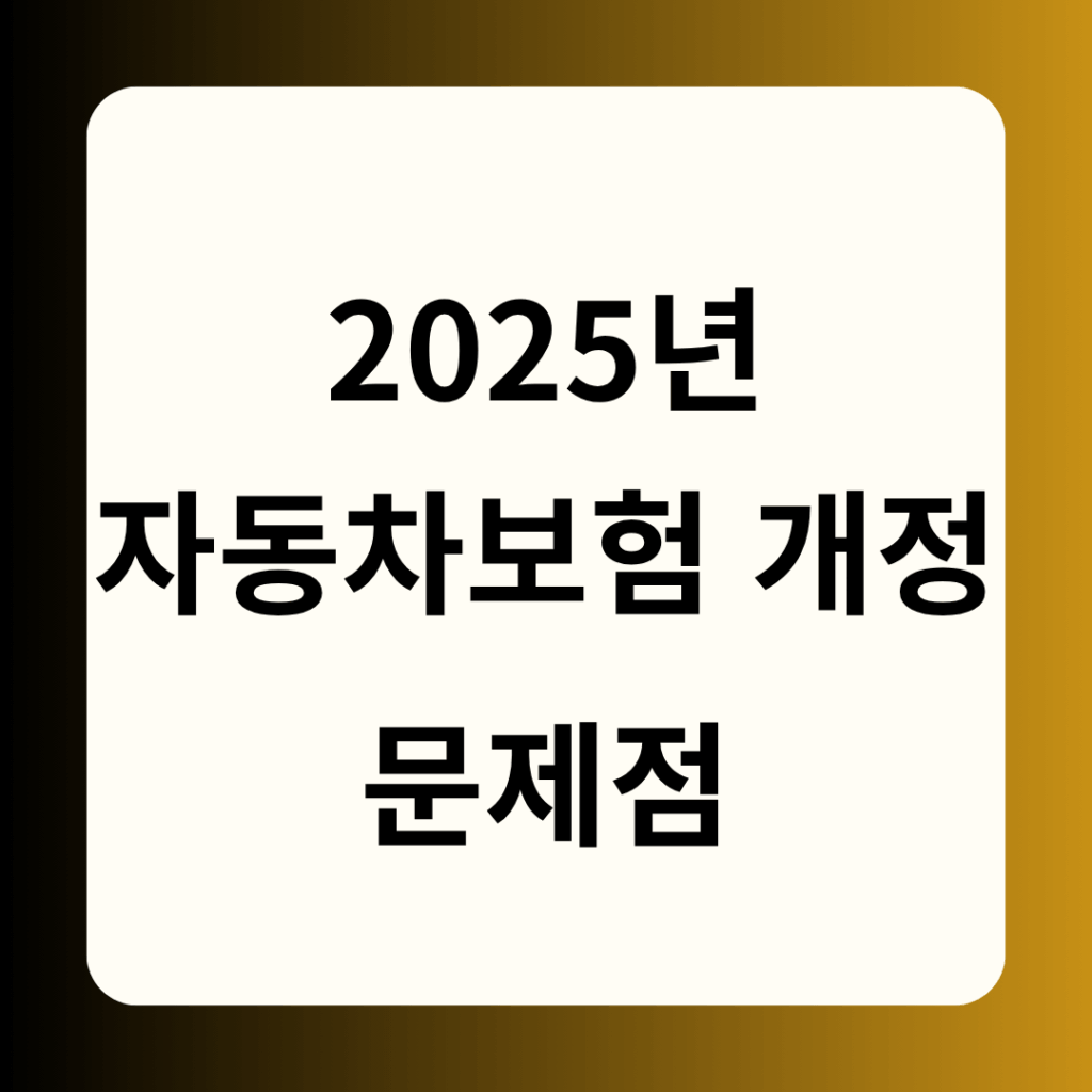 2025년 자동차보험 개정 문제점